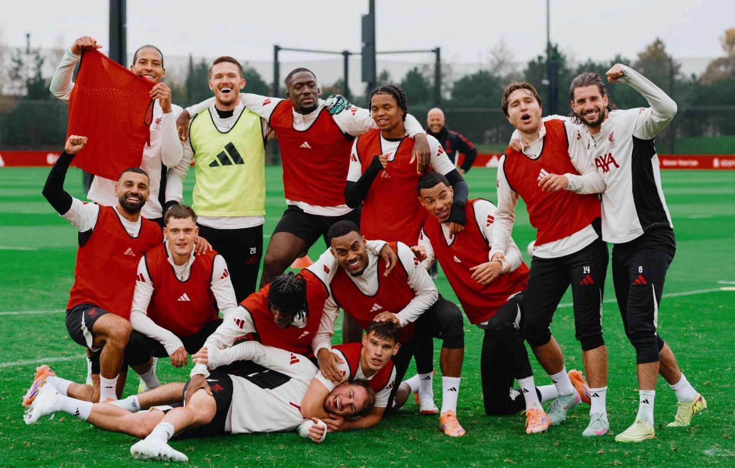 Liverpool fc injury update